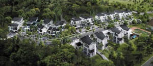 aerial-view