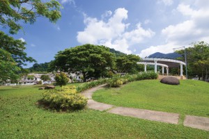 botanica-ct-garden