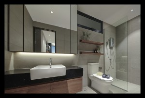 DVP Master Bath