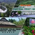 4-attractions-to-open