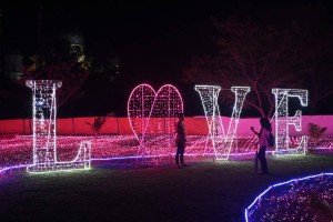 vision-park-2