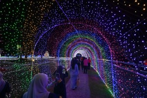 vision-park-3