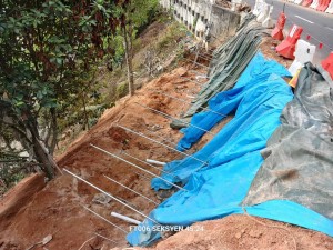 slope-maintenance-4