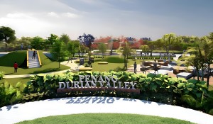 penang durian-valley-illustration